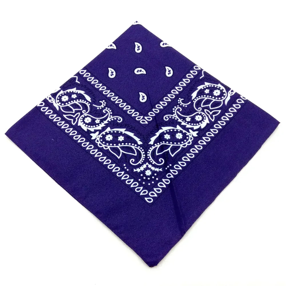 Bohemian Print Bandana Paisley Pattern Headbands Hiphop  kerchief Outdoor Unisex Headband Wrist Wraps Face Mask Handkerchief